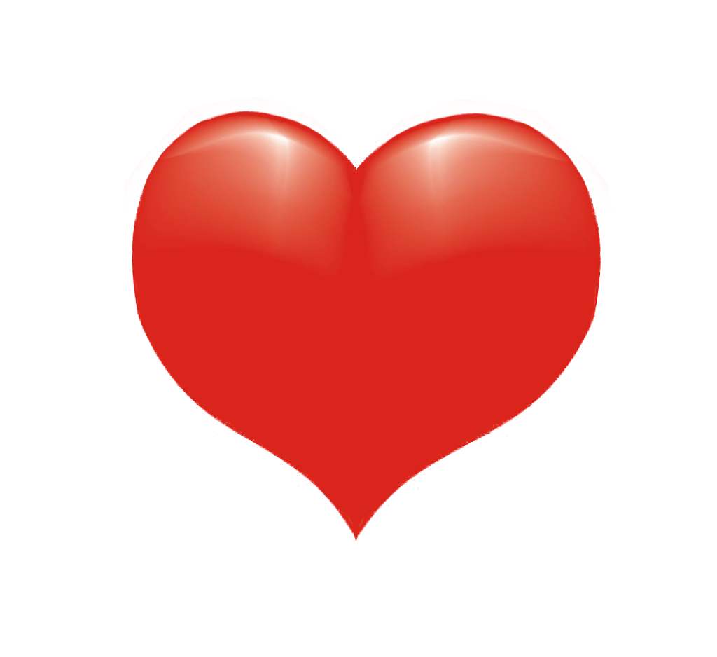 timg (1).jpg timg (1).jpg