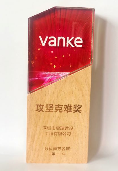 萬科南方區(qū)域攻堅克難獎